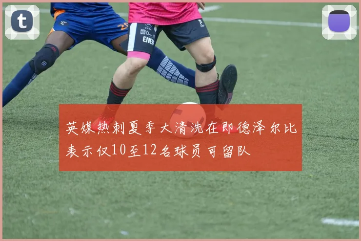 英媒热刺夏季大清洗在即德泽尔比表示仅10至12名球员可留队