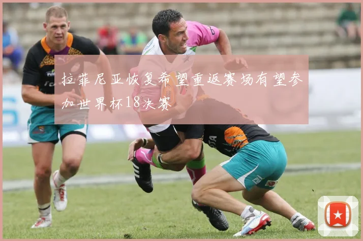 拉菲尼亚恢复希望重返赛场有望参加世界杯18决赛